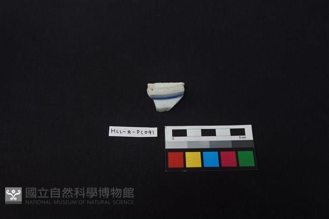 瓷片藏品圖，第4張