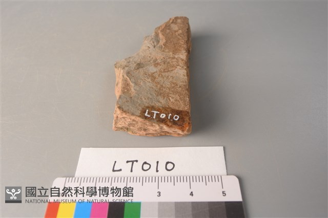 陶片藏品圖，第4張