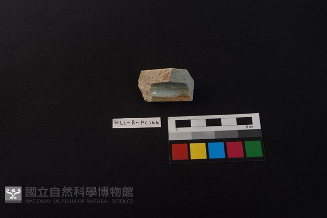 瓷片藏品圖，第4張