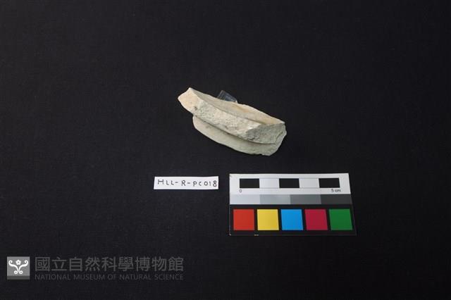 瓷片藏品圖，第4張