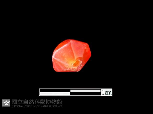 玉髓珠藏品圖，第4張