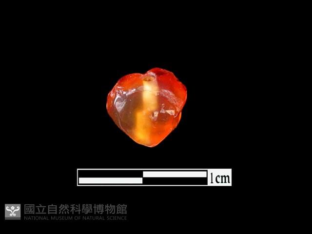 玉髓珠藏品圖，第3張