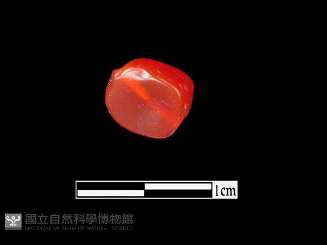 玉髓珠藏品圖，第3張