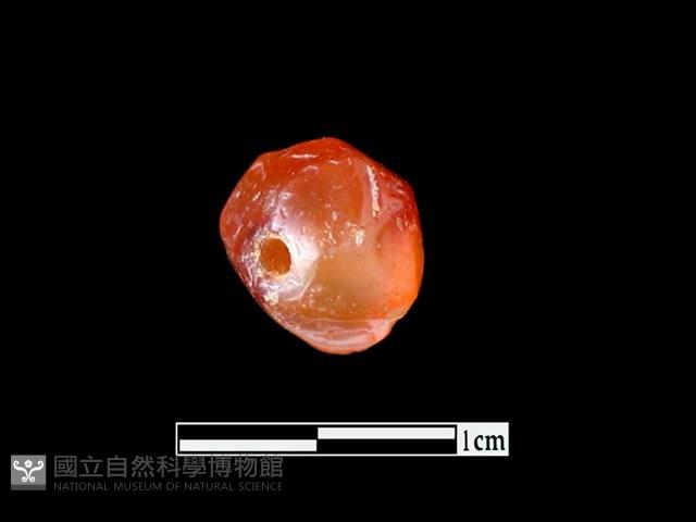 玉髓珠藏品圖，第3張