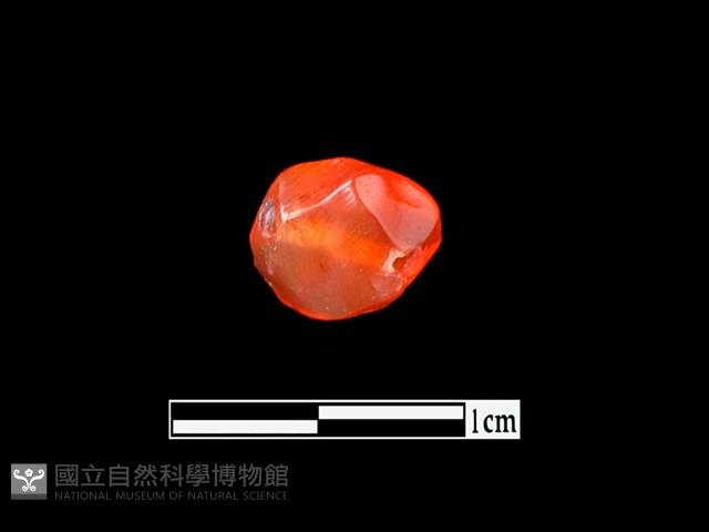 玉髓珠藏品圖，第3張