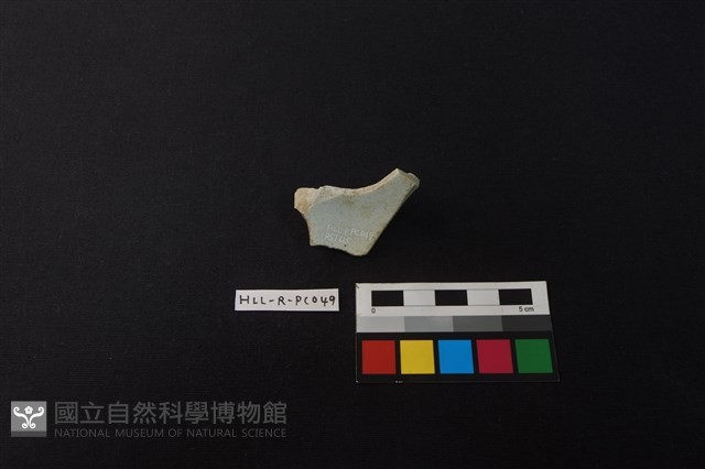 瓷片藏品圖，第3張