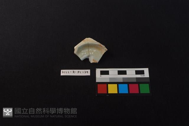 瓷片藏品圖，第3張