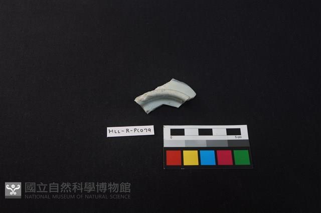 瓷片藏品圖，第3張