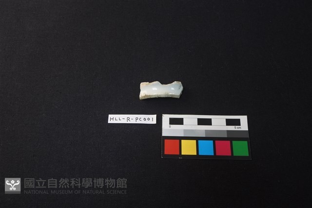 瓷片藏品圖，第3張