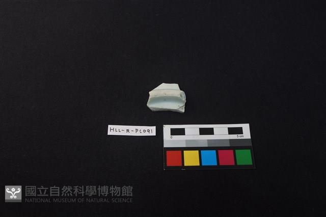 瓷片藏品圖，第3張