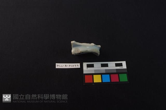 瓷碗藏品圖，第3張