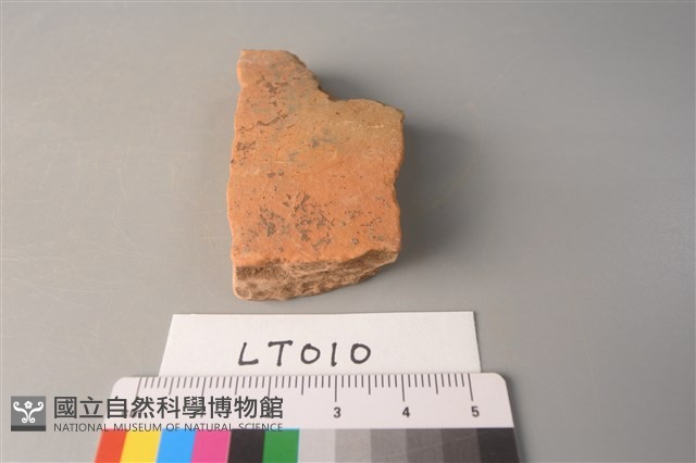 陶片藏品圖，第3張