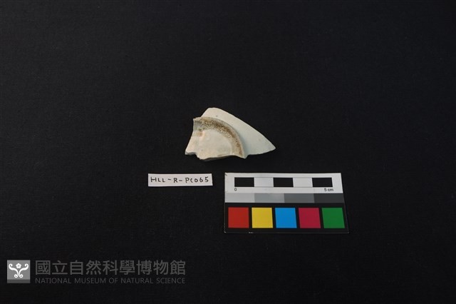 瓷片藏品圖，第3張