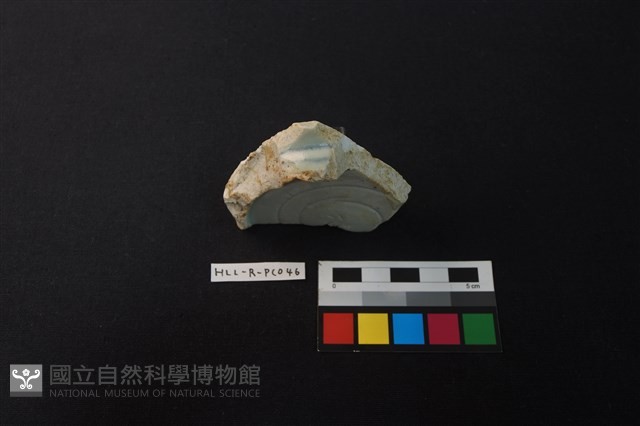 瓷碗藏品圖，第3張