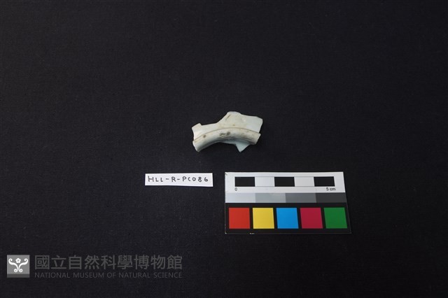 瓷碗藏品圖，第3張