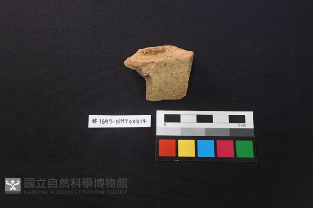陶片藏品圖，第3張