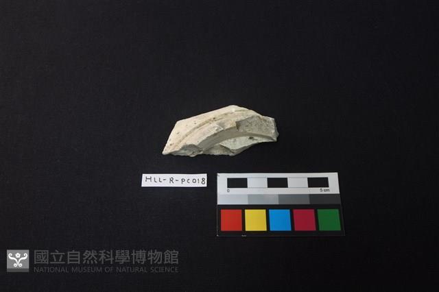 瓷片藏品圖，第3張