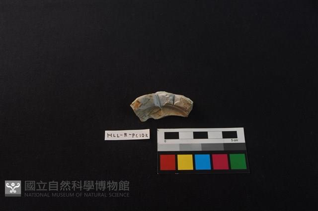 瓷碗藏品圖，第3張