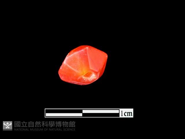 玉髓珠藏品圖，第3張