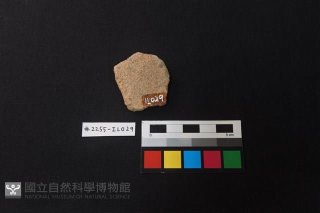 陶片藏品圖，第2張