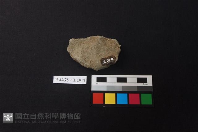 陶片藏品圖，第2張