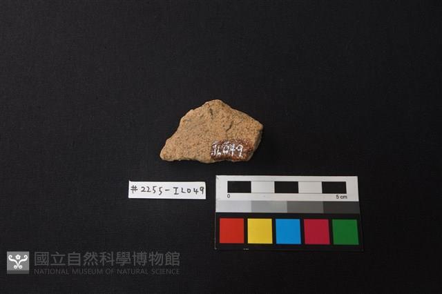 陶片藏品圖，第2張