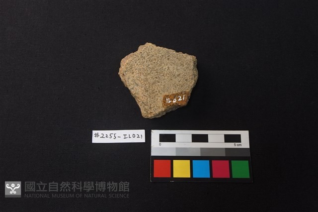 陶片藏品圖，第2張