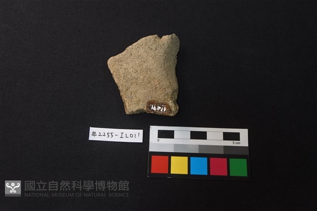 陶片藏品圖，第2張