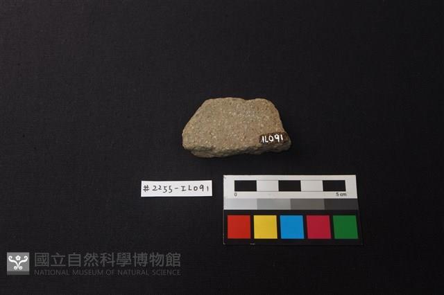 陶片藏品圖，第2張