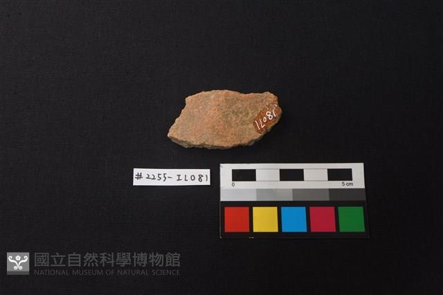 陶片藏品圖，第2張