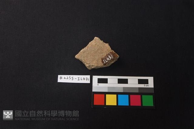 陶片藏品圖，第2張