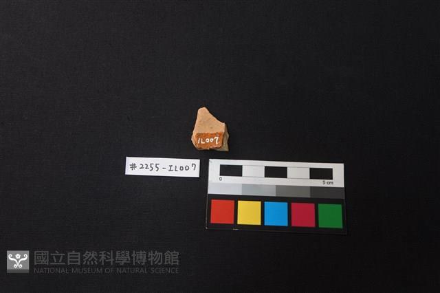 陶片藏品圖，第2張