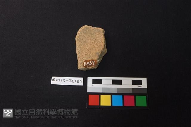 陶片藏品圖，第2張