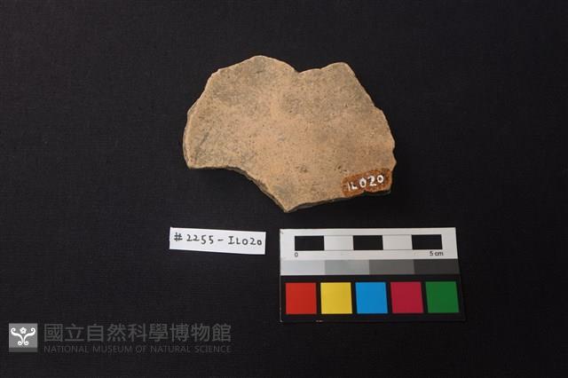 陶片藏品圖，第2張