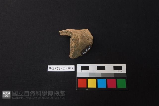 陶片藏品圖，第2張