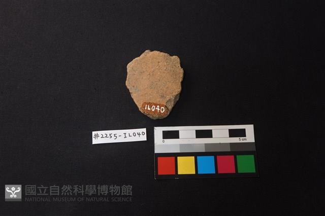 陶片藏品圖，第2張