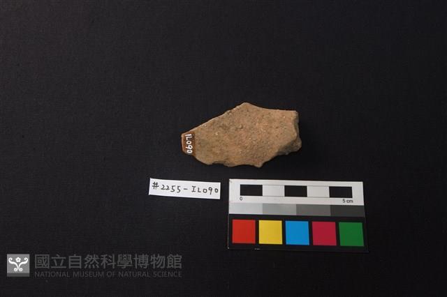 陶片藏品圖，第2張