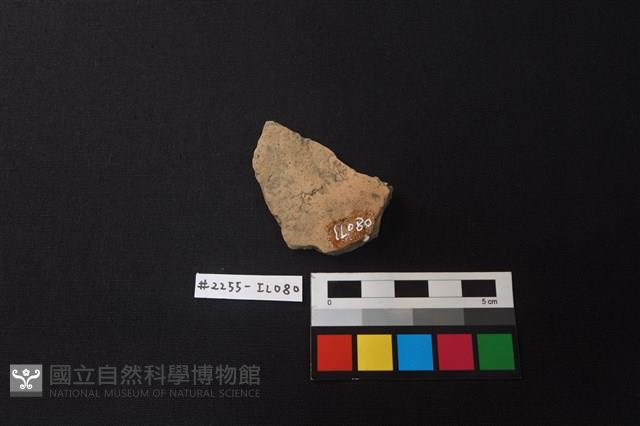 陶片藏品圖，第2張