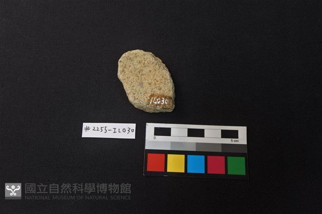 陶片藏品圖，第2張