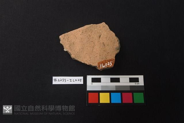 陶片藏品圖，第2張