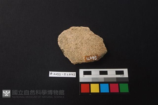 陶片藏品圖，第2張