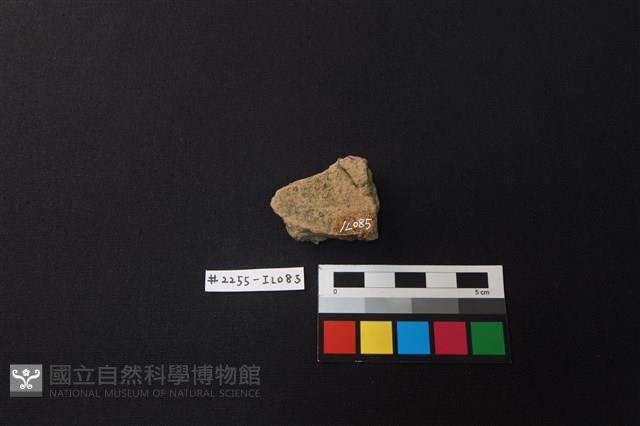 陶片藏品圖，第2張