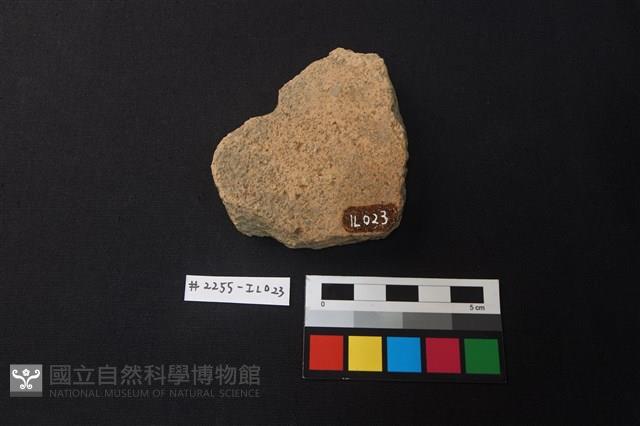 陶片藏品圖，第2張