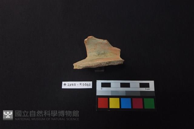 陶片藏品圖，第2張