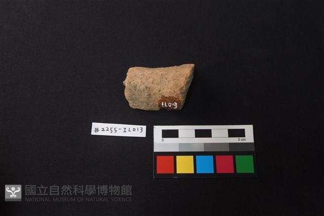 陶片藏品圖，第2張