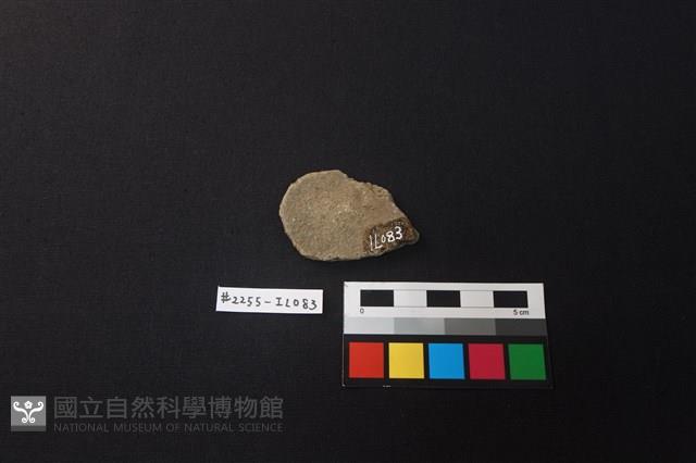 陶片藏品圖，第2張