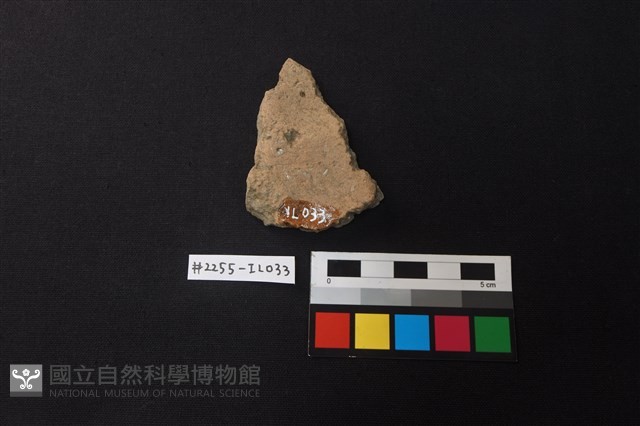 陶片藏品圖，第2張