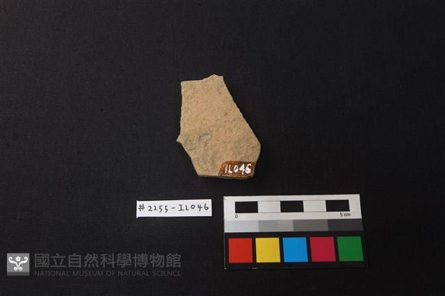 陶片藏品圖，第2張