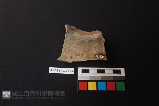 陶片藏品圖，第2張