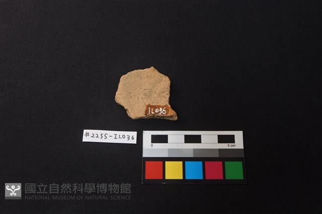 陶片藏品圖，第2張